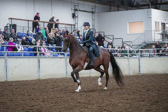 Spring Fling - Saturday - April 20, 2019  -  00626