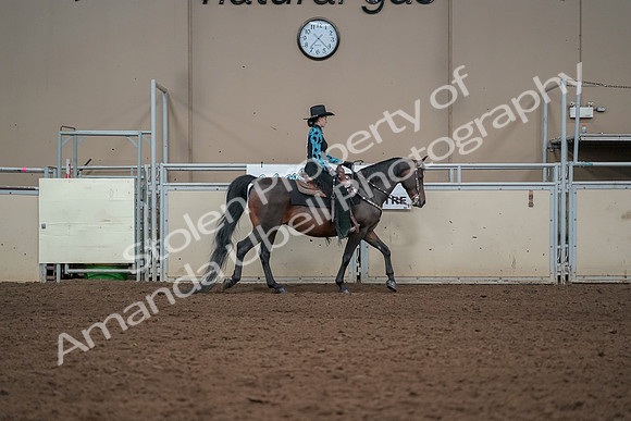 2019 Morgan Horse Show - Aug 30, 2019 - 26137
