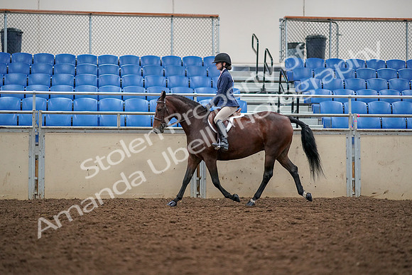 2019 Morgan Horse Show - Aug 30, 2019 - 23388