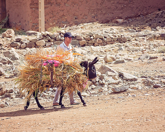 Morocco - 093
