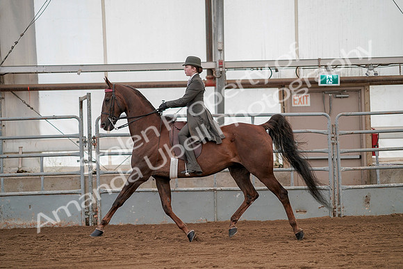 July 20, 2019 - 02029
