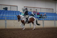 2019 Morgan Horse Show - Aug 30, 2019 - 14856