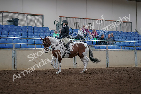2019 Morgan Horse Show - Aug 30, 2019 - 14856