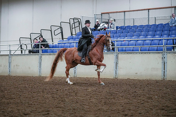 Spring Fling - Saturday - April 20, 2019  -  00786
