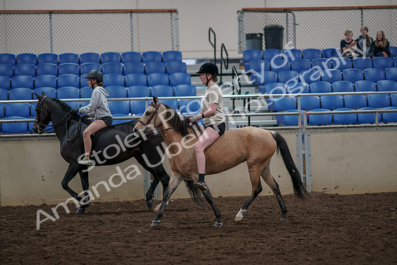 2019 Morgan Horse Show - Aug 30, 2019 - 31229