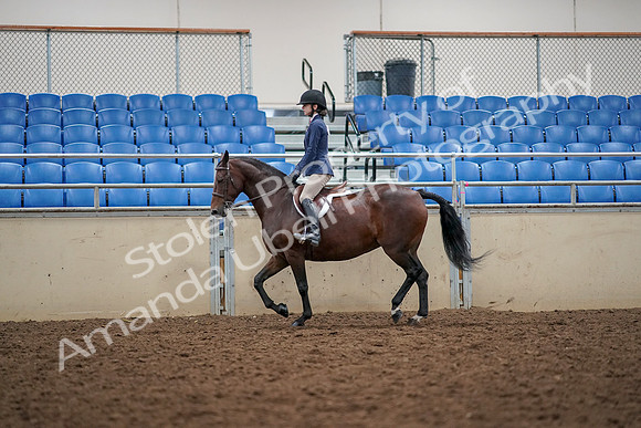 2019 Morgan Horse Show - Aug 30, 2019 - 23221