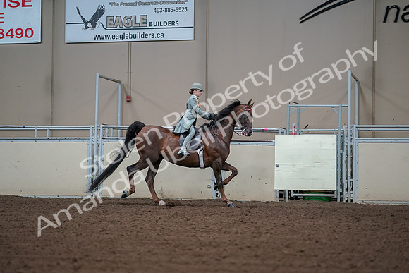 2019 Morgan Horse Show - Aug 30, 2019 - 17927