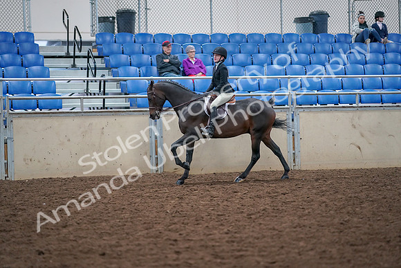 2019 Morgan Horse Show - Aug 30, 2019 - 20565