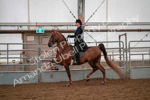 July 19, 2019 - 10481