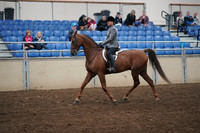 2019 Morgan Horse Show - Aug 31, 2019 - 13777