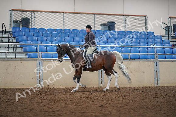 2019 Morgan Horse Show - Aug 30, 2019 - 22225