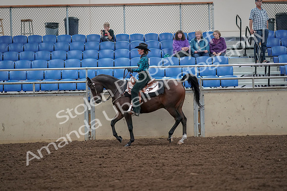 2019 Morgan Horse Show - Aug 30, 2019 - 25910