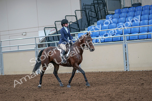 2020 - AB Morgan Horse - Fri, Sept 04 - 06076
