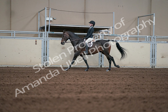 2019 Morgan Horse Show - Sept 01, 2019 - 03725