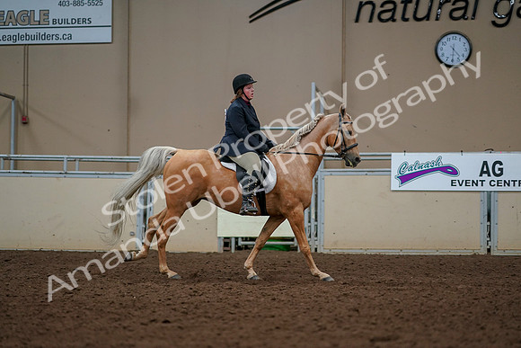2019 Morgan Horse Show - Aug 30, 2019 - 22571