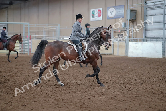 2019 Morgan Horse Show - Aug 30, 2019 - 20666