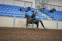 2020 - AB Morgan Horse - Sat, Sept 05 - 00832