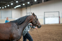 2020 - AB Morgan Horse - Sat, Sept 05 - 00187