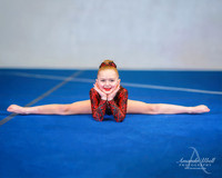 Fort Sask Gymnastics 2019 - Feb 17, 2019 - logo - 02792