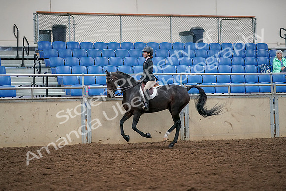 2019 Morgan Horse Show - Aug 30, 2019 - 23403