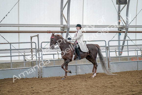 July 20, 2019 - 14641