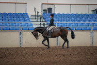 2019 Morgan Horse Show - Aug 31, 2019 - 06314