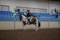 2019 Morgan Horse Show - Aug 30, 2019 - 14849
