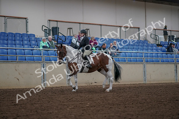 2019 Morgan Horse Show - Aug 30, 2019 - 14849