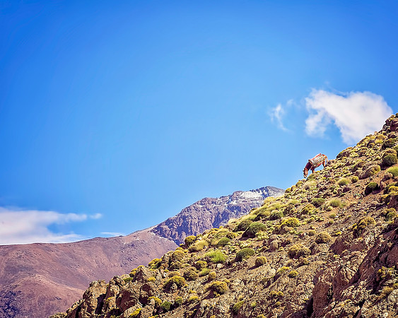 Morocco - 053