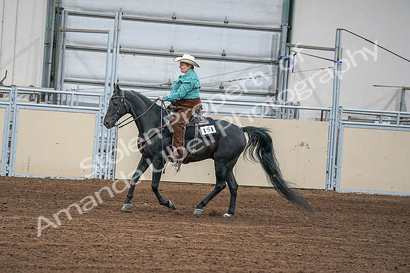 2020 - AB Morgan Horse - Fri, Sept 04 - 00595