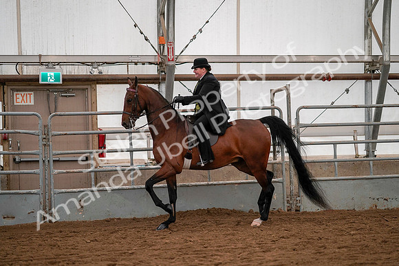 July 19, 2019 - 10281