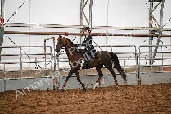 July 19, 2019 - 8773