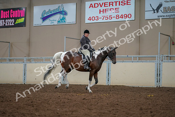 2019 Morgan Horse Show - Aug 30, 2019 - 22501
