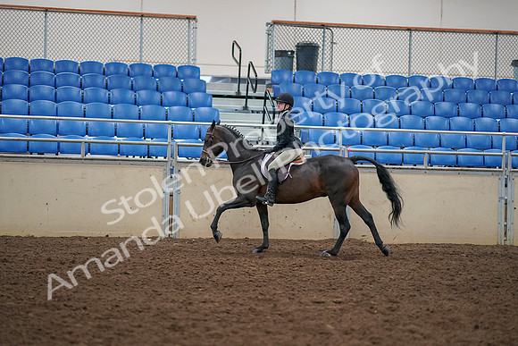 2019 Morgan Horse Show - Aug 30, 2019 - 12309