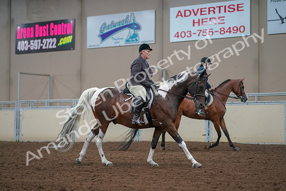 2019 Morgan Horse Show - Aug 30, 2019 - 16435