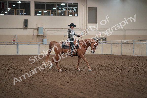 2019 Morgan Horse Show - Aug 30, 2019 - 26217
