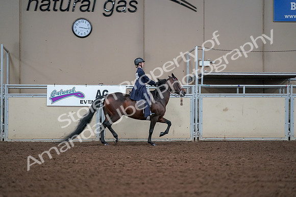 2019 Morgan Horse Show - Aug 30, 2019 - 17962