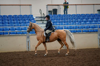 2019 Morgan Horse Show - Aug 30, 2019 - 22176