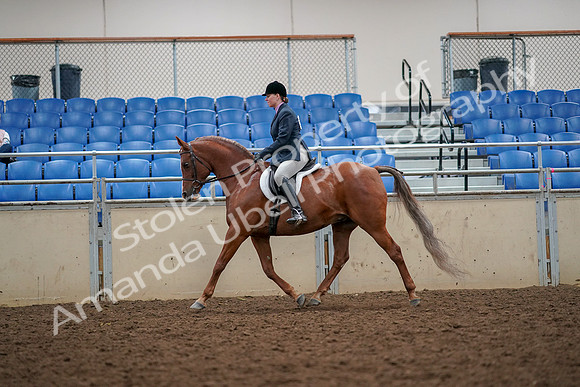2019 Morgan Horse Show - Aug 30, 2019 - 22318