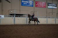 2019 Morgan Horse Show - Aug 30, 2019 - 28291