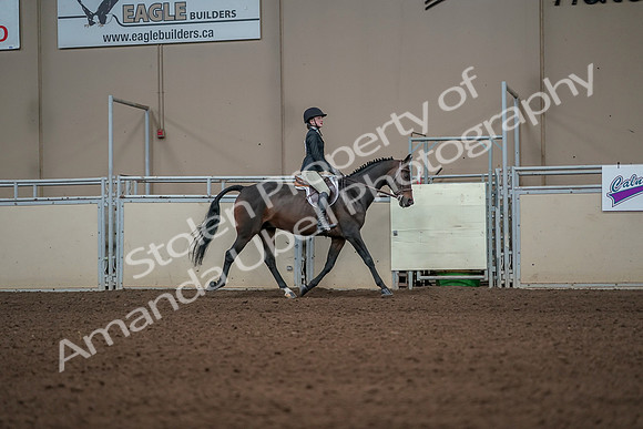 2019 Morgan Horse Show - Aug 31, 2019 - 05157