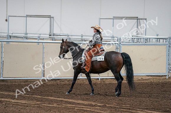 2020 - AB Morgan Horse - Fri, Sept 04 - 00453