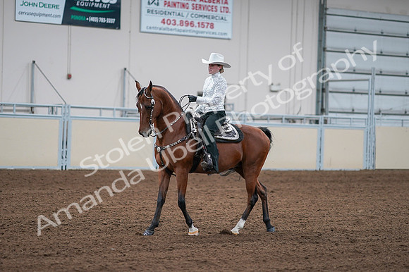 2020 - AB Morgan Horse - Fri, Sept 04 - 03583