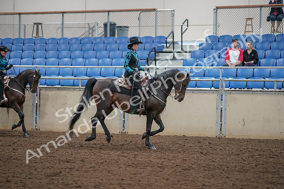 2019 Morgan Horse Show - Aug 30, 2019 - 26166