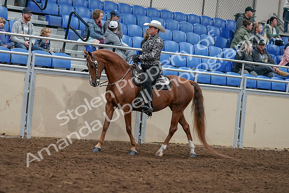 2020 - AB Morgan Horse - Sun, Sept 06 - 07495