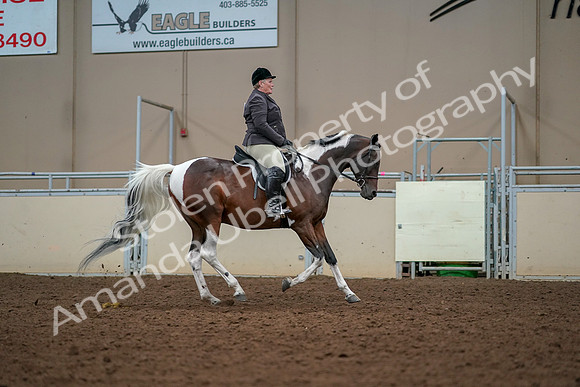 2019 Morgan Horse Show - Aug 30, 2019 - 22582