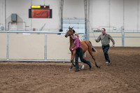 2020 - AB Morgan Horse - Fri, Sept 04 - 07591