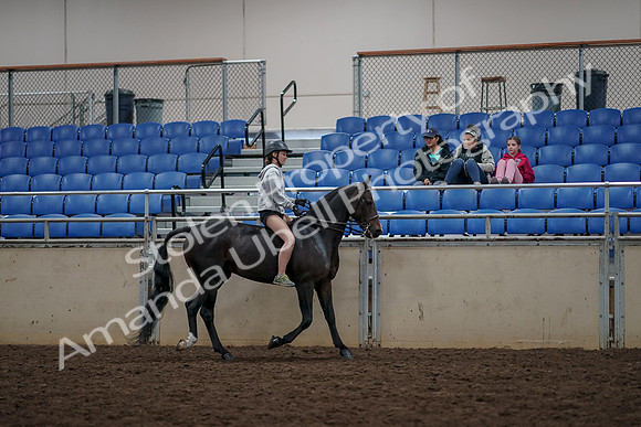 2019 Morgan Horse Show - Aug 30, 2019 - 31387