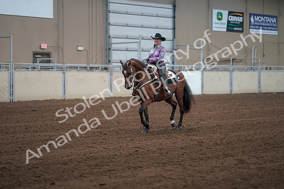 2019 Morgan Horse Show - Sept 01, 2019 - 07202
