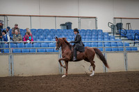 2019 Morgan Horse Show - Aug 30, 2019 - 26483
